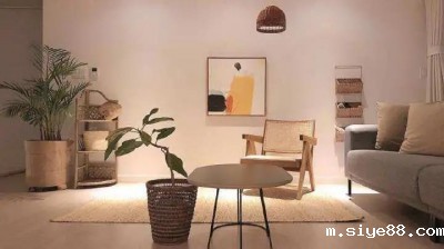 选对涂料，打造完美墙面！